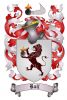 Ball Family Coat of Arms