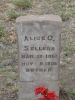 Alice C R Sellers 1861-1886